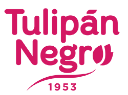 Tulipan Negro