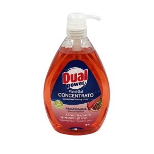 DUAL POWER DETERGENT VASE 1L ALOE&RODIE