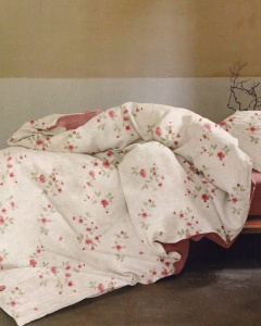 Lenjerie de pat 80g/m2 250X250cm 03CF