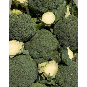 Broccoli, ECO, min 300g - Img 2