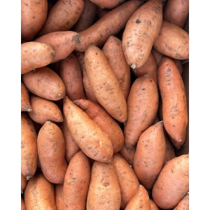 Cartofi dulci (miez portocaliu), ECO, 1kg