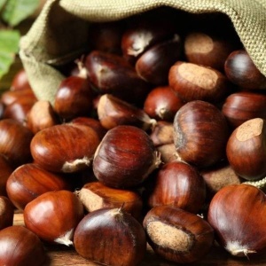 Castane ECO, 250g