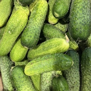 Castraveti cornison, ECO, 1kg
