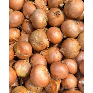 Ceapa galbena, ECO, min 500g - Img 2