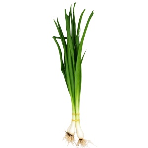 Ceapa verde, ECO, 1 leg