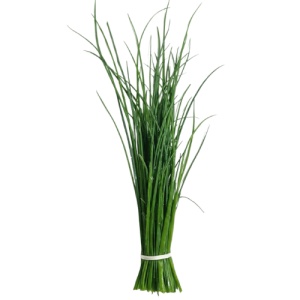 Chives romanesc ECO 1 leg