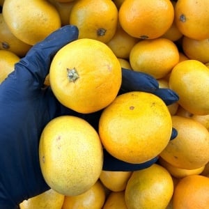 Clementine, ECO, 1kg