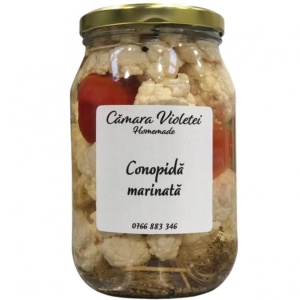 Conopida in otet, 1.5kg