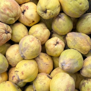 Gutui ECO, 1kg - Img 2