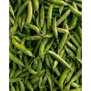 Mazare pastai, ECO, 500g - Img 2