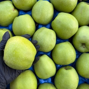Mere Granny Smith, ECO, 2 buc (calibru mare) - Img 2