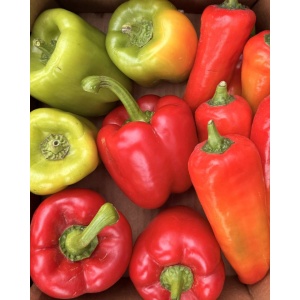 MIX de ardei, ECO, aprox 2kg - Img 2