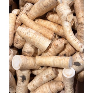 Pastarnac de radacina, ECO, 1kg (SVM)