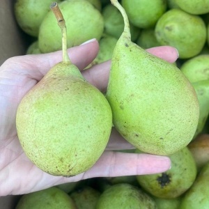 Pere Crystallia, ECO, 1kg