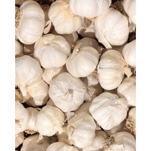 Usturoi alb, ECO, min 400g