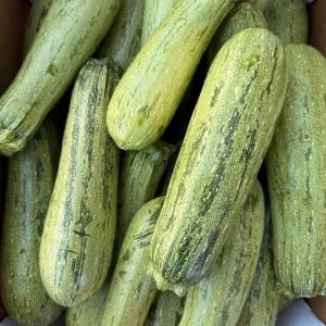 Zucchini, ECO, min 500g