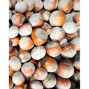 Alune de padure in coaja, ECO, 3KG, recolta 2024 - Img 2