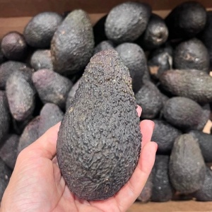 Avocado Hass, ECO, 1 buc (Ready to eat)