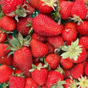 Capsuni romanesti ECO, 1 Kg