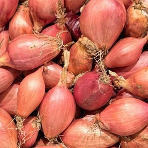 Ceapa Shallots, ECO, min 500g