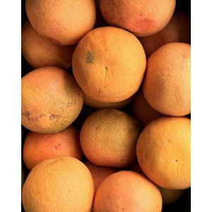 Grapefruit Star Ruby, ECO, 1buc (aprox 300g) - Img 2