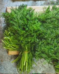 Marar, legatura, aprox 80g, ECO