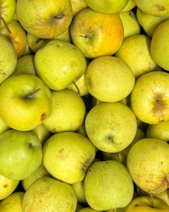 Mere Golden Delicios, romanesti, ECO, 1kg - Img 2