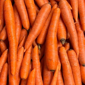 Morcovi, ECO,1kg