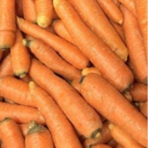 Morcovi, ECO, 500g
