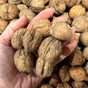 Nuci in coaja, ECO, 3kg - Img 3