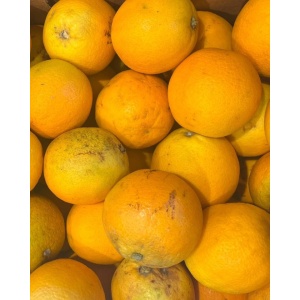 Portocale, ECO, minim 1 kg - Img 2