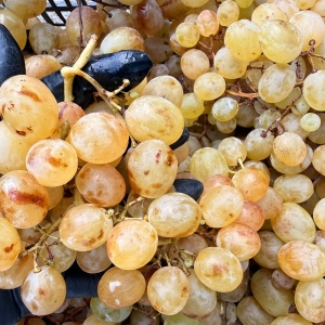 Struguri albi romanesti, ECO, 1kg - Img 2