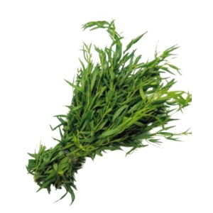 Tarhon ECO, 30g