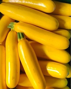 Zucchini galben, ECO, min 600g