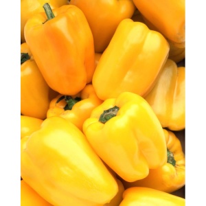 Ardei gras galben, ECO, aprox 500g - Img 2