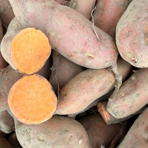 Cartofi dulci, miez portocaliu, romania,ECO, 1kg
