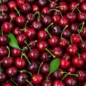 Cirese romanesti, Regina ECO, 500g