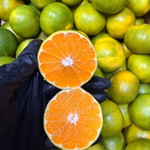 Clementine, Eco, min 1 kg