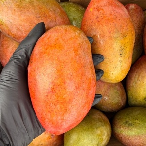 Mango ECO, 1 buc - Img 2