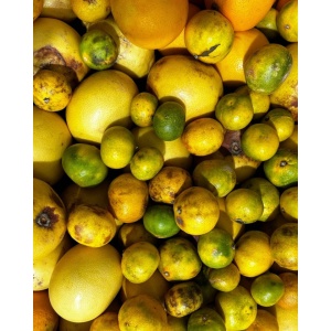 Mix de citrice pt suc, ECO, 3kg (SVM)