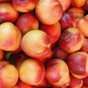 Nectarine, ECO, 500g