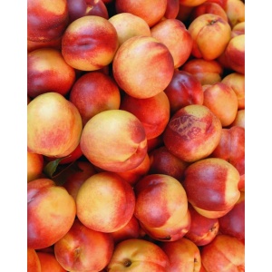 Nectarine, ECO, 500g - Img 2