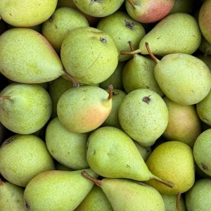 Pere Kosia, ECO, 500g