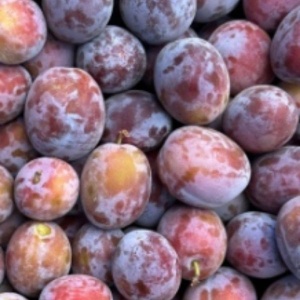 Prune Anna Spath, ECO, 1Kg (coapte) - Img 2