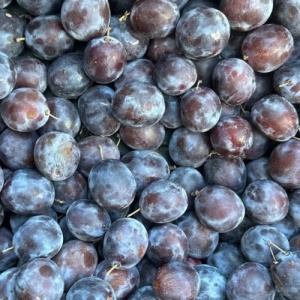 Prune pentru gem, ECO, 3kg