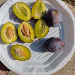 Prune Stanley romanesti 5kg - Img 2
