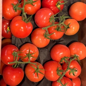 Rosii pe crenguta, ECO, 500g