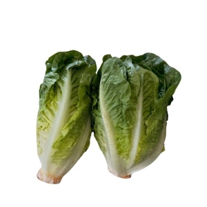 Salata mini Romana, ECO, 2buc