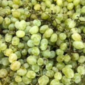 Struguri albi, Afuz Ali, ECO, 1 kg