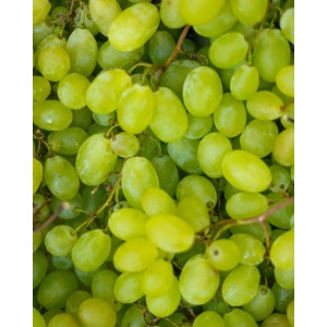 Struguri albi, ECO, 500g - Img 2